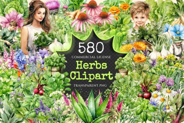 Herbs Watercolor Clipart Bundle - 575+ transparent PNG, Herbal plant graphics, Medicinal culinary images, Commercial use, Digital download