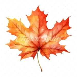 22 High-Quality Autumn Maple Clipart - Autumn maple digital watercolor JPG instant download for commercial use - Digital download