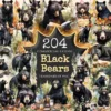 Black Bears Clipart Bundle - 200+ transparent PNG, Woodland creature illustrations, Majestic bear graphics, Commercial use, Digital download