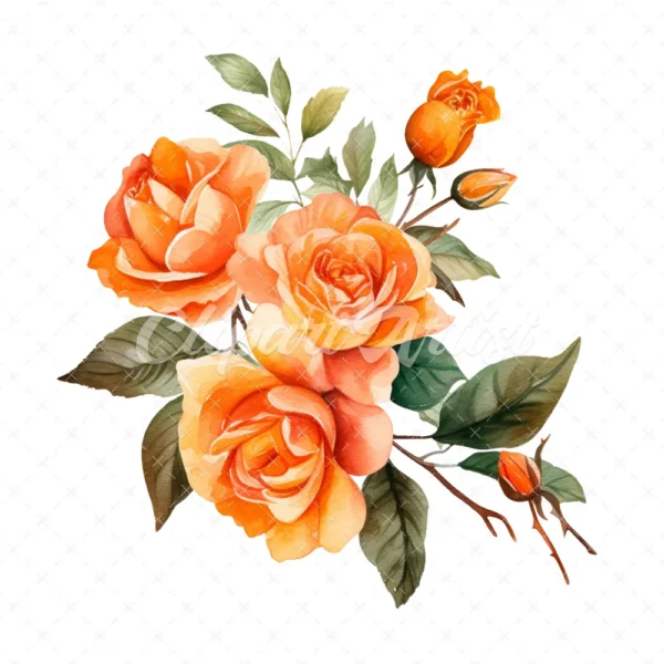 20 High-Quality Orange Rose Clipart - Orange rose digital watercolor JPG instant download for commercial use - Digital download