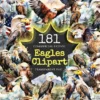 Eagles Watercolor Clipart Bundle - 177+ transparent PNG, Forest eagle illustration, Alpine bird graphics, Commercial use, Digital download