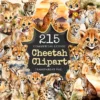 Cheetah Watercolor Clipart Bundle - 211+ transparent PNG, Safari cheetah graphics, Wild savanna images, Commercial use, Digital download