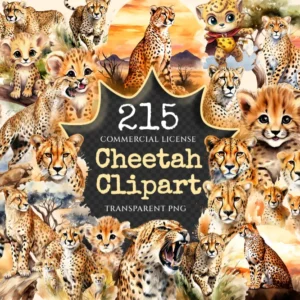 Cheetah Watercolor Clipart Bundle - 211+ transparent PNG, Safari cheetah graphics, Wild savanna images, Commercial use, Digital download