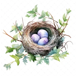 20 High-Quality Bird Nest Clipart - Bird nest digital watercolor JPG instant download for commercial use - Digital download