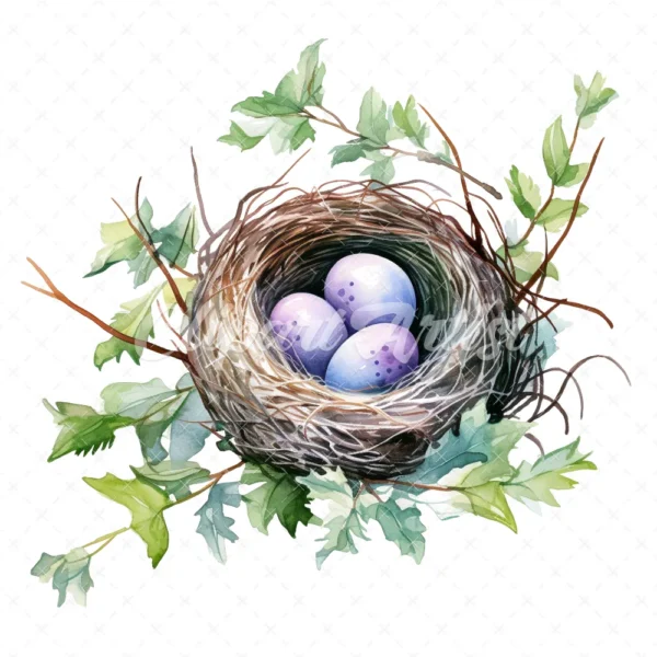 20 High-Quality Bird Nest Clipart - Bird nest digital watercolor JPG instant download for commercial use - Digital download