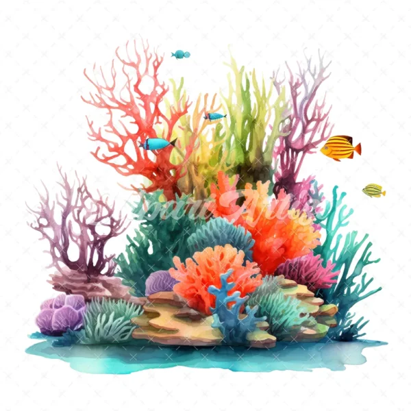 19 High-Quality Reef Clipart - Reef digital watercolor JPG instant download for commercial use - Digital download