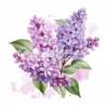 20 High-Quality Lilac Clipart - Lilac flower digital watercolor JPG instant download for commercial use - Digital download