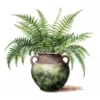 20 High-Quality Fern Antique Pot Clipart - digital watercolor JPG instant download for commercial use - Digital download