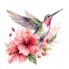 20 High-Quality Floral Hummingbird Clipart - Hummingbird digital watercolor JPG instant download for commercial use - Digital download