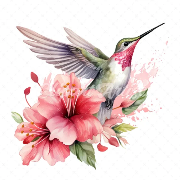 20 High-Quality Floral Hummingbird Clipart - Hummingbird digital watercolor JPG instant download for commercial use - Digital download