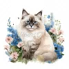20 High-Quality Ragdoll Cats Clipart - Ragdoll cat digital watercolor JPG instant download for commercial use - Digital download