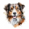 20 High-Quality Australian Shepherd Clipart - Shepherd digital watercolor JPG instant download for commercial use - Digital download