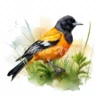 20 High-Quality Baltimore Oriole Clipart - Baltimore oriole digital watercolor JPG instant download for commercial use - Digital download