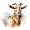 20 High-Quality Kiko Goat Clipart - Kiko goat digital watercolor JPG instant download for commercial use - Digital download