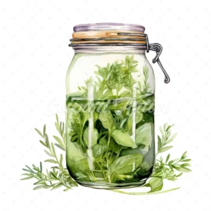 20 High-Quality Herbs Jar Clipart - Herbs jar digital watercolor JPG instant download for commercial use - Digital download