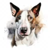 20 High-Quality Bull Terrier Portrait Clipart - Bull terrier digital watercolor JPG instant download for commercial use - Digital download