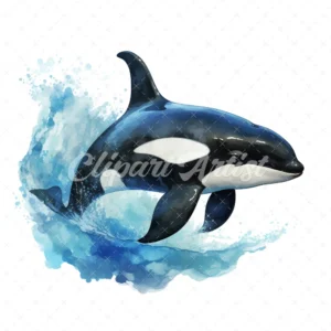 20 High-Quality Orca in Water Clipart - Orca in water digital watercolor JPG instant download for commercial use - Digital download