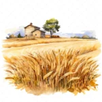 19 High-Quality Wheat Farm Clipart - Wheat farm digital watercolor JPG instant download for commercial use - Digital download