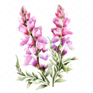 20 High-Quality Foxglove Clipart - Foxglove flowers digital watercolor JPG instant download for commercial use - Digital download