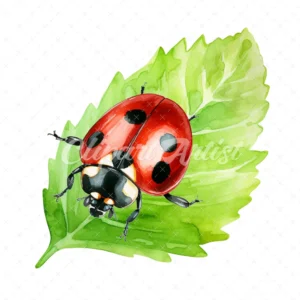 20 High-Quality Ladybug on Leaf Clipart - Ladybug on leaf digital watercolor JPG instant download for commercial use - Digital download