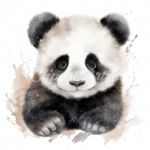 20 High-Quality Baby Panda Portrait Clipart - Panda Portrait digital watercolor JPG instant download or commercial use - Digital download
