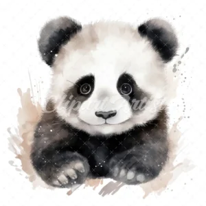 20 High-Quality Baby Panda Portrait Clipart - Panda Portrait digital watercolor JPG instant download or commercial use - Digital download
