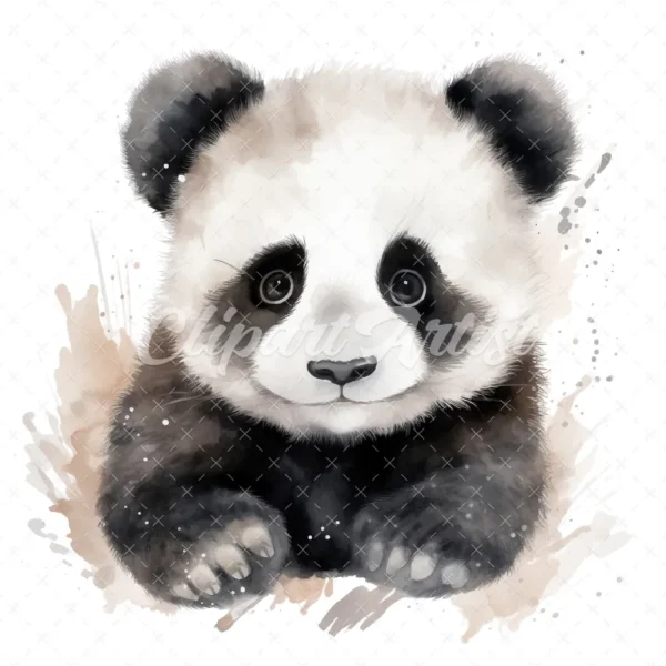 20 High-Quality Baby Panda Portrait Clipart - Panda Portrait digital watercolor JPG instant download or commercial use - Digital download
