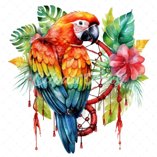 20 High-Quality Parrot With Dreamcatcher Clipart - Parrot digital watercolor JPG instant download for commercial use - Digital download