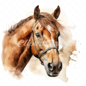 20 High-Quality Brown Horse Clipart - Brown horse digital watercolor JPG instant download for commercial use - Digital download