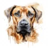 20 High-Quality Rhodesian Portrait Clipart - Rhodesian dog digital watercolor JPG instant download for commercial use - Digital download