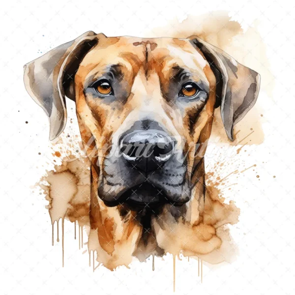20 High-Quality Rhodesian Portrait Clipart - Rhodesian dog digital watercolor JPG instant download for commercial use - Digital download