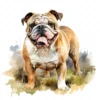 20 High-Quality Bulldog Clipart - Bulldog dog digital watercolor JPG instant download for commercial use - Digital download