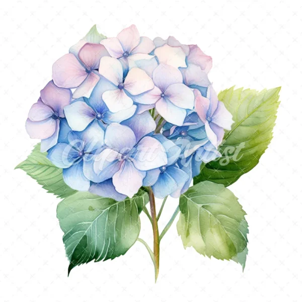20 High-Quality Hydrangea Clipart - Hydrangea flower digital watercolor JPG instant download for commercial use - Digital download
