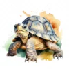 20 High-Quality Cute Tortoise Clipart - Cute tortoise digital watercolor JPG instant download for commercial use - Digital download