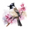 20 High-Quality Floral Whiskered Bulbul Clipart - Bulbul digital watercolor JPG instant download for commercial use - Digital download
