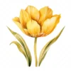 20 High-Quality Yellow Tulip Clipart - Yellow tulip digital watercolor JPG instant download for commercial use - Digital download