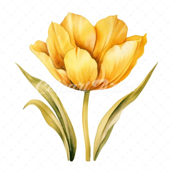 20 High-Quality Yellow Tulip Clipart - Yellow tulip digital watercolor JPG instant download for commercial use - Digital download