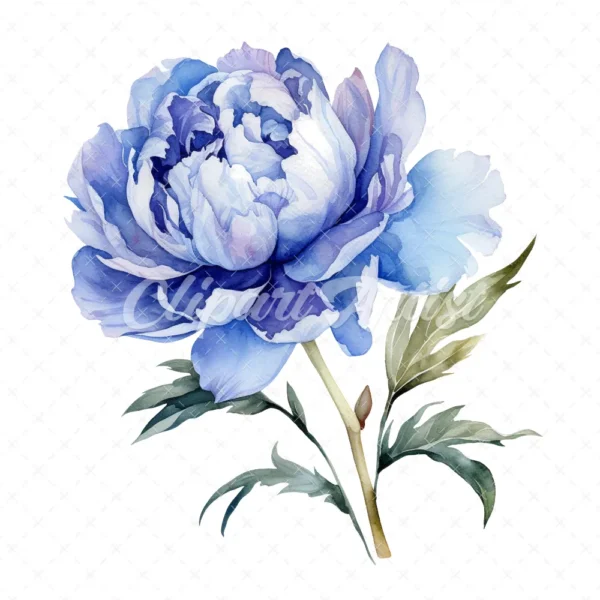 20 High-Quality Blue Peony Clipart - Blue peony flower digital watercolor JPG instant download for commercial use - Digital download