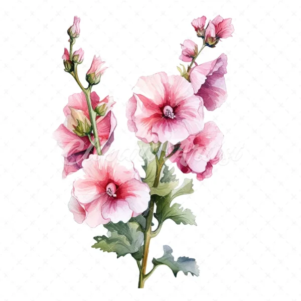20 High-Quality Hollyhock Clipart - Hollyhock flowers digital watercolor JPG instant download for commercial use - Digital download