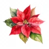 20 High-Quality Poinsettia Clipart - Poinsettia flower digital watercolor JPG instant download for commercial use - Digital download