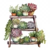 20 High-Quality Succulent Rack Clipart - Succulent rack digital watercolor JPG instant download for commercial use - Digital download