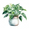 19 High-Quality Pot of Philodendron Clipart - Philodendron digital watercolor JPG instant download for commercial use - Digital download