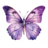 24 High-Quality Purple Butterfly Clipart - Purple butterfly digital watercolor JPG instant download for commercial use - Digital download