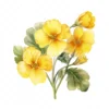 20 High-Quality Primrose Clipart - Primrose flowers watercolor JPG instant download for commercial use - Digital download