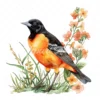 19 High-Quality Baltimore Oriole Clipart - Baltimore oriole digital watercolor JPG instant download for commercial use - Digital download
