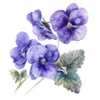 20 High-Quality Violets Clipart - Violets clipart digital watercolor JPG instant download for commercial use - Digital download