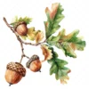 19 High-Quality Oak Acorns Clipart - Oak acorns digital watercolor JPG instant download for commercial use - Digital download