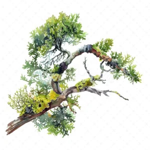 18 High-Quality Branch and Moss Clipart - Branch and moss digital watercolor JPG instant download for commercial use - Digital download