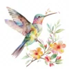 20 High-Quality Floral Hummingbird Clipart - Hummingbird digital watercolor JPG instant download for commercial use - Digital download