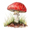 20 High-Quality Clipart - Toadstool digital watercolor JPG instant download for commercial use - Digital download